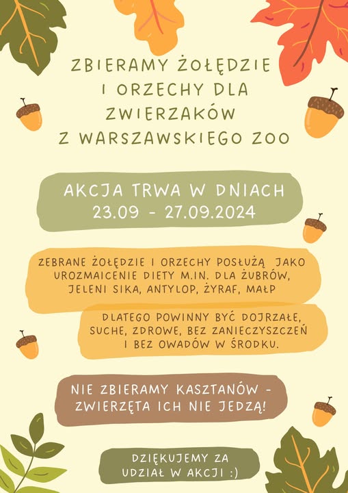 Zdjęcie do wpisu: ZBIERAMY ŻOŁĘDZIE